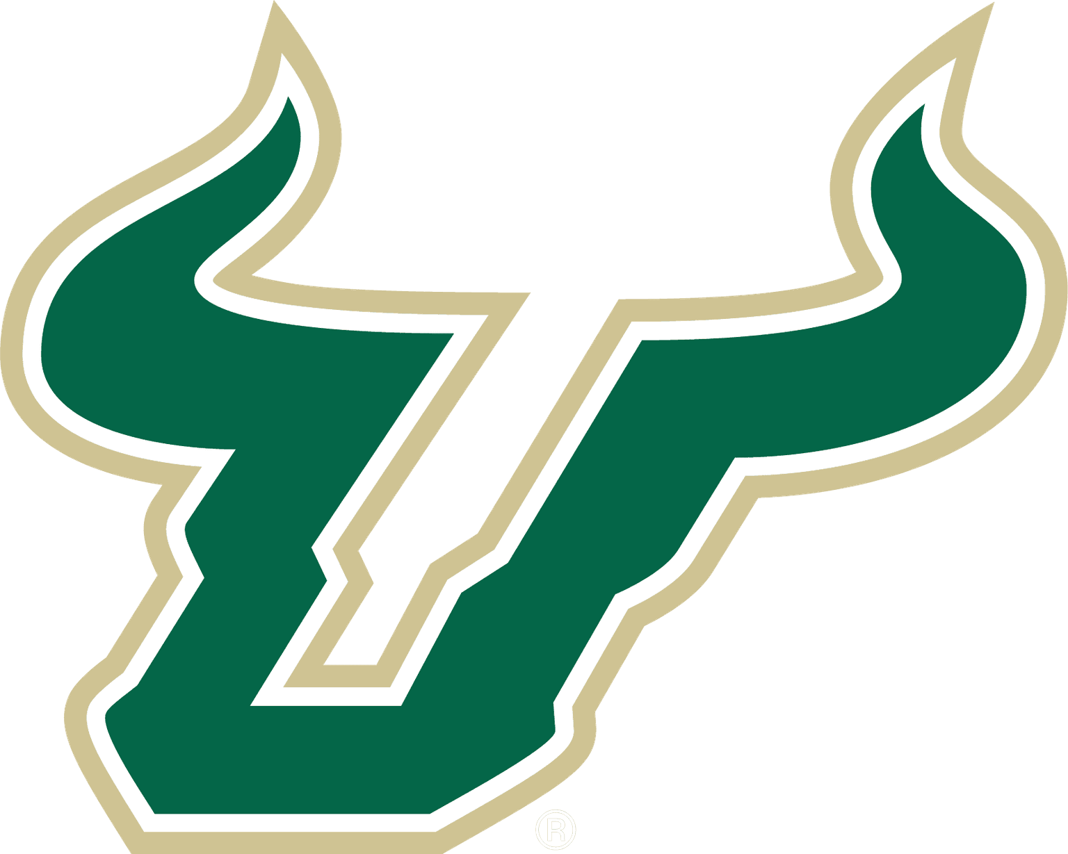 University of South Florida