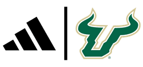 University of South Florida banner logo